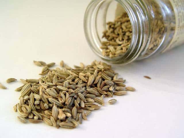 Fennel Seed Is a Natural Breath Freshener