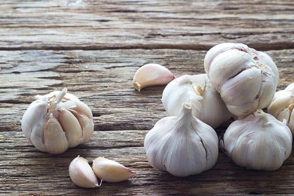 garlic for toothache